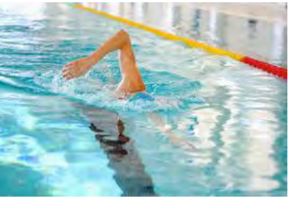 Natation