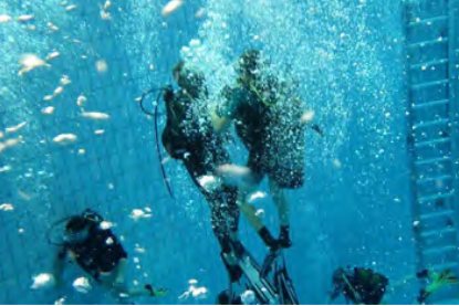 Plongé sous marine